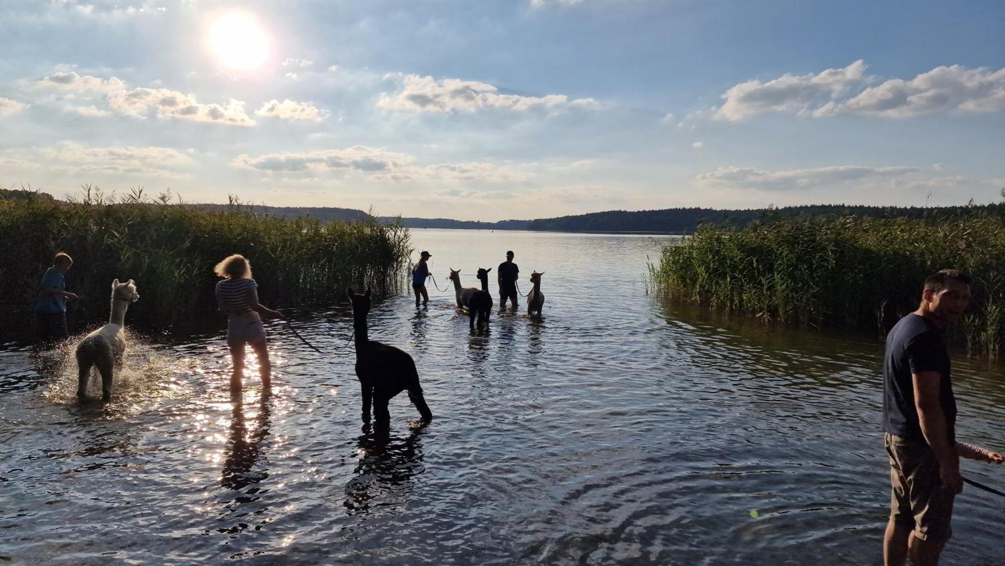 Ferienpark-Canow Экстерьер фото